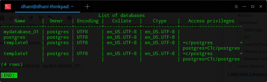 list postgres databases