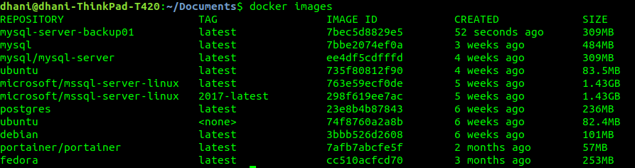 docker-backup-manjaro-dot-site