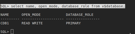 check-oracle-database-status-manjaro-dot-site