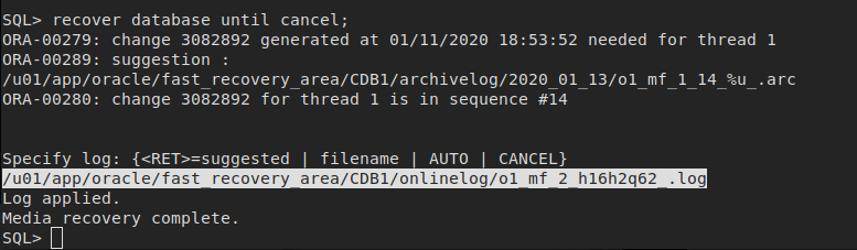 How to Fix ORA-00743-Log