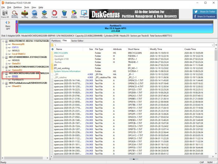 How to Mount EFI Partition from Windows 10 Using DiskGenius Manjaro